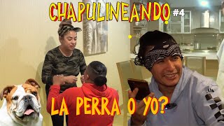 Chapulineando Ep4 │ ¿La P 3 R R A o YO │ Christian Meza [upl. by Annoynek367]