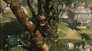 Assassins Creed 4  How to get Animus fragment in the tree  Kingston [upl. by Helbon]