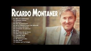 RICARDO MONTANER Grandes Exitos En Concierto Completo  RICARDO MONTANER Sus Mejores Exitos En Vivo [upl. by Tavie]