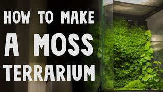 How to Make a Moss Terrarium [upl. by Nithsa986]