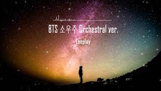 BTS 방탄소년단 소우주Mikrokosmos Orchestral cover [upl. by Anedal]