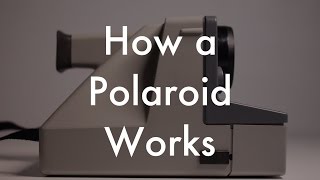 How Does a Polaroid Work [upl. by Niwri]