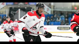 Bill Zonnon Highlights RouynNoranda Huskies QMJHL [upl. by Chem427]