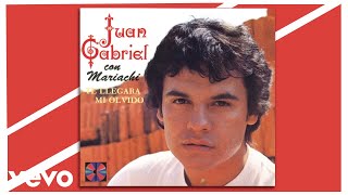 Juan Gabriel  Te Llegará Mi Olvido Cover Audio [upl. by Briney]