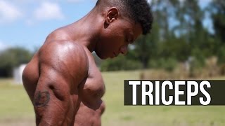 BIG Bodyweight Triceps  Top 4 Calisthenics Tricep Exercises [upl. by Aikan]