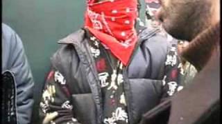 Bloods and Crips Unite in New York City [upl. by Hermia]