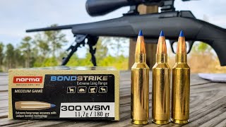 300WSM at 1000 yards  Norma BondStrike [upl. by Koffman]