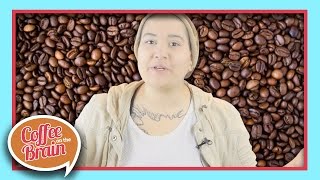 The Difference Between Coffee and Espresso  Coffee On The Brain [upl. by Gabie161]