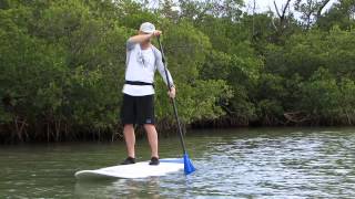 Stand Up Paddling  How To Paddle Straight [upl. by Eycal]