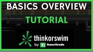 ThinkorSwim Tutorial Basics Overview for Beginners [upl. by Tyoh]