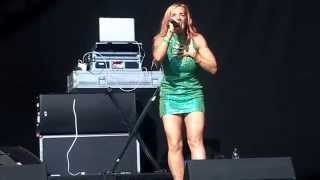 Lindy Layton performs Dub Be Good To To Me live  Penn Festival 2014 [upl. by Bernat]