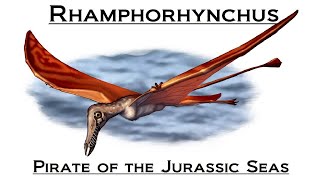 Prehistoric Breakdown Rhamphorhynchus [upl. by Enyr]