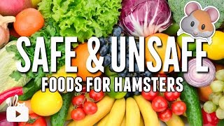 SAFE and UNSAFE foods for hamsters [upl. by Larred]