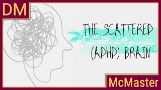 Understanding the scattered ADHD brain [upl. by Aushoj]