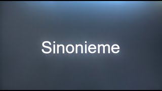 Sinonieme  Graad 4 [upl. by Aubrey]