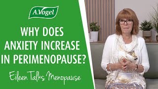 Why does anxiety increase in perimenopause [upl. by Boggs345]