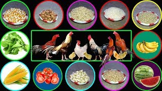 What to Feed Chickens  What do Chickens Eat [upl. by Gentilis]