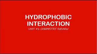 AP Biology Hydrophobic Interaction [upl. by Inah]