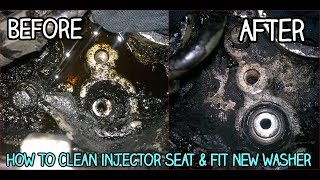 Injector SealWasher Replacement  How To Remove amp Install  DIY [upl. by Jacey]