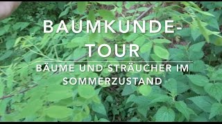 BaumkundeTour 17 Bäume und Sträucher erkennen [upl. by Vachel]