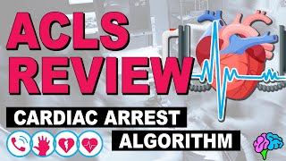 Cardiac Arrest  ACLS Review [upl. by Asiek]