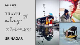 Srinagar Explorer  Srinagar tour  Srinagar Kashmir  Travel vlog [upl. by Orji]