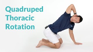 Quadruped Thoracic Rotation for Spine Mobility [upl. by Nolana]