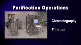 Purification Overview GFP Purification part 1 of 6 [upl. by Dickey506]