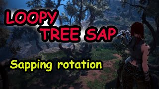 Loopy tree sap rotation [upl. by Elisa895]