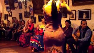 Flamenco Dance by Spanish Gypsies Part 2 [upl. by Renie628]