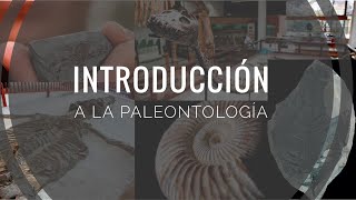 Introducción a la paleontología [upl. by Morrison]