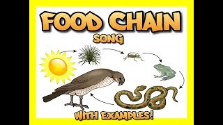 Food Chain song with several examples [upl. by Finbur]