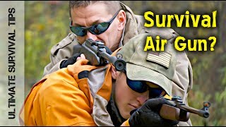 11 REASONS YOU NEED a 22 CALIBER AIR RIFLE  for Survival and FUN [upl. by Halstead]