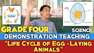 Grade Four Demonstration Teaching Science  5 Es Method Pseudo Demonstration Teaching 8 [upl. by Blau]