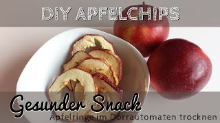 DIY Apfelchips im Dörrautomat Klarstein  Gesunder Snack getrocknete Apfelringe [upl. by Culosio]