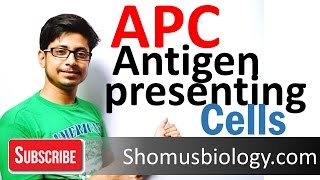 Antigen presenting cells APC [upl. by Schwejda114]