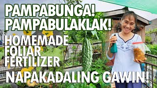 EPEKTIBONG PAMPABUNGA AT PAMPABULAKLAK NG HALAMANG GULAY  HOMEMADE FOLIAR FERTILIZER [upl. by Nolyad31]