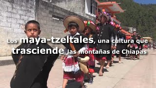 Los mayatzeltales una cultura que trasciende la Sierra Madre de Chiapas [upl. by Hyacinthie583]