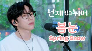 10CM  십센치  선재 업고 튀어 OST 봄 눈  Spring Snow [upl. by Aig775]