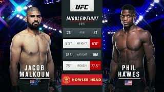 UFC 254 Hawes vs Malkoun Full Fight Highlights [upl. by Bilicki]