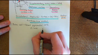 Amyotrophic Lateral Sclerosis ALS Part 1 [upl. by Merideth]