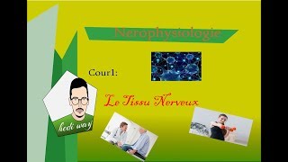 01 Tissu Nerveux  Neurophysiologie Bac Tunisie [upl. by Sredna]