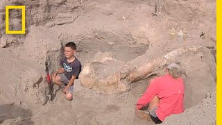 Boy Trips While Hiking Discovers MillionYearOld Fossil  National Geographic [upl. by Yand307]