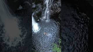 Wild Swimming in Galloway Forest Park [upl. by Neelehtak208]