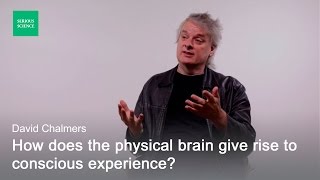 Hard Problem of Consciousness — David Chalmers [upl. by Anitsej]