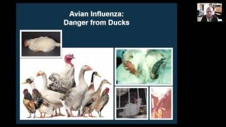 Livestock Diseases and Prevention [upl. by Yasmeen]