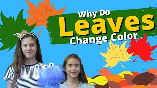 Why Do Leaves Change Colors in the Fall  Facts for Kids [upl. by Benjy328]