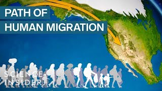 Map Shows How Humans Migrated Across The Globe [upl. by Coltun227]