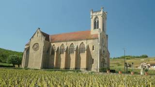 The Wines of Burgundy [upl. by Wayolle684]