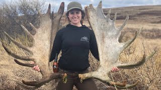 Finding Moose Antlers in Alaska  Shed Hunting [upl. by Sialac]